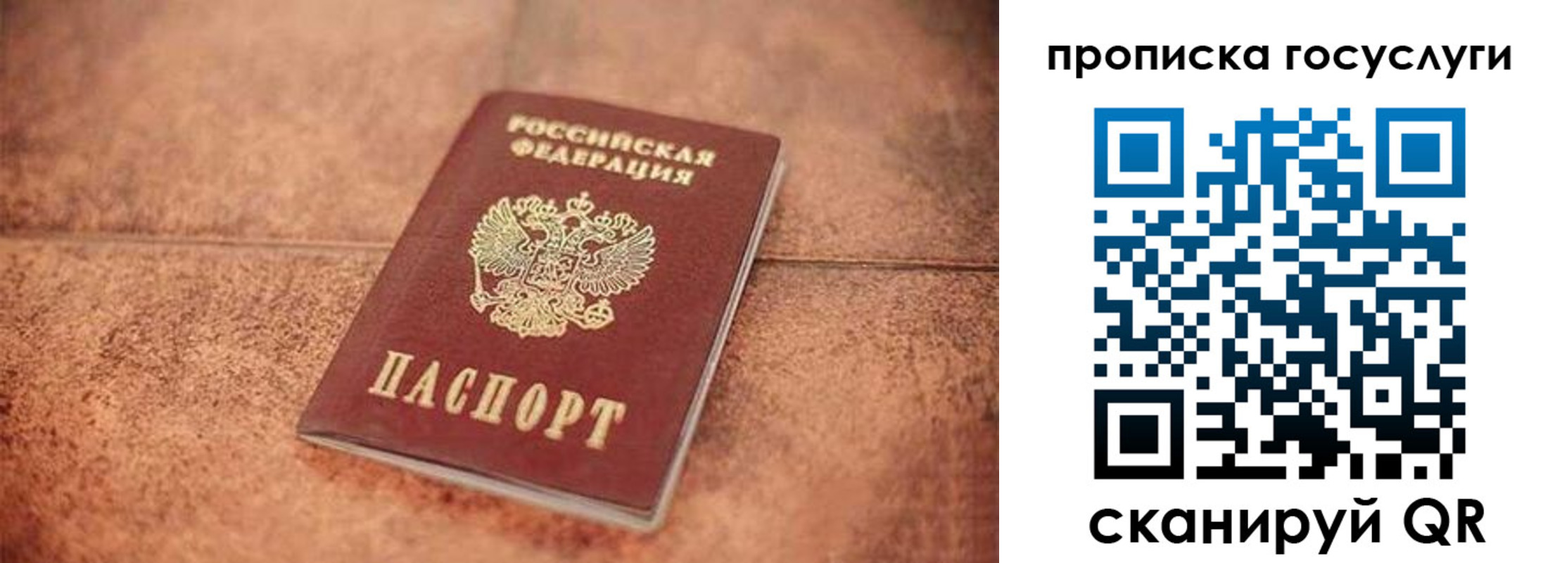 прописка законно в Дигоре